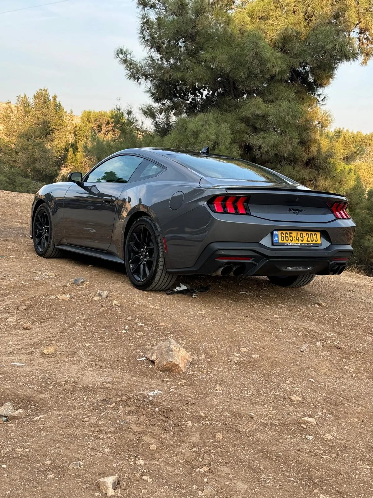 Ford Mustang — צילום רכב מקורי